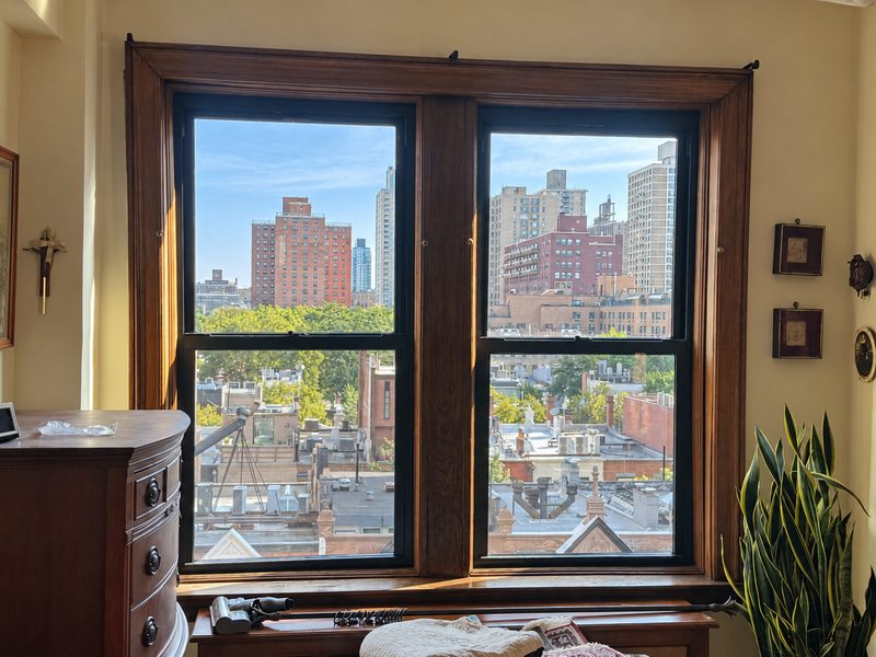 Two new black framed double hung windows set in a dark wood casing, looking out over rooftops