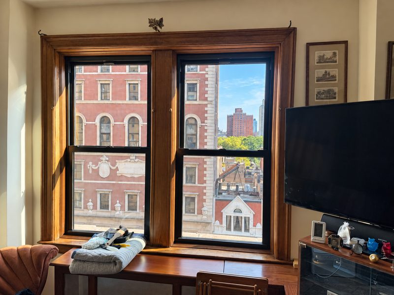 Two new black framed double hung windows in a dark wood casing, with a view of a red brick building